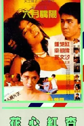 黄子华：真的没看见。